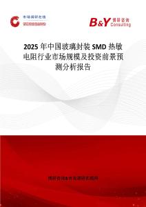 2025年中國玻璃封裝SMD熱敏電阻行業(yè)市場規(guī)模及投資前景預測分析報告
