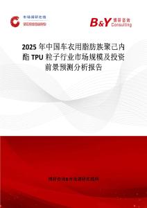 2025年中國車衣用脂肪族聚己內酯TPU粒子行業市場規模及投資前景預測分析報告