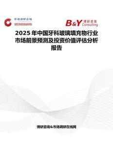 2025年中國牙科玻璃填充物行業市場前景預測及投資價值評估分析報告