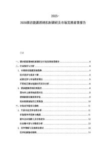 2025-2030清洁能源消纳机制调研及市场发展前景报告