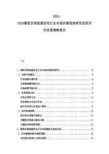 2025-2030葡萄牙新能源发电行业市场供需现状研究投资评估发展策略报告