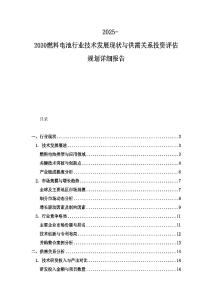 2025-2030燃料电池行业技术发展现状与供需关系投资评估规划详细报告