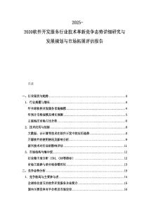 2025-2030软件开发服务行业技术革新竞争态势详细研究与发展规划与市场拓展评估报告