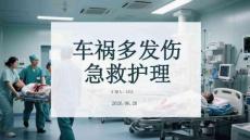 车祸多发伤急救护理