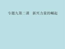 新兴力量的崛起