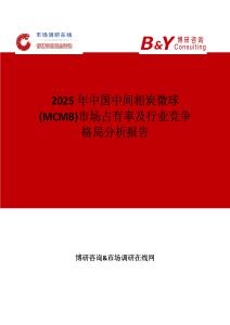 2025年中国中间相炭微球(MCMB)市场占有率及行业竞争格局分析报告
