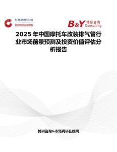 2025年中国摩托车改装排气管行业市场前景预测及投资价值评估分析报告