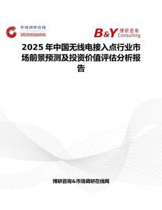 2025年中国无线电接入点行业市场前景预测及投资价值评估分析报告