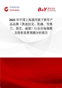 2025年中国上海通用旗下轿车产品品牌（凯迪拉克、凯越、雪佛兰、别克、威朗）行业市场规模及投资前景预测分析报告