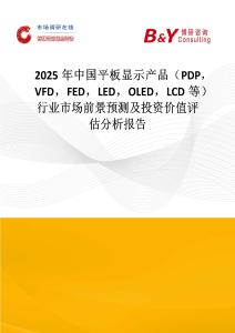 2025年中国平板显示产品（PDP，VFD，FED，LED，OLED，LCD等）行业市场前景预测及投资价值评估分析报告