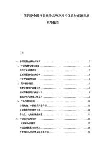 中国消费金融行业竞争态势及风控体系与市场拓展策略报告