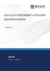 2026-2032年中国石油勘探行业市场分析研究及投资机会研判报告