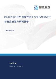 2026-2032年中國柔性電子行業市場動態分析及投資潛力研判報告