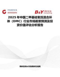 2025年中國二甲基硅氧烷混合環體（DMC）行業市場前景預測及投資價值評估分析報告