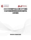 2025年中國千兆以太網(wǎng)SFP模塊行業(yè)市場前景預(yù)測及投資價(jià)值評(píng)估分析報(bào)告
