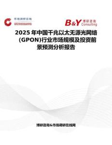 2025年中国千兆以太无源光网络（GPON)行业市场规模及投资前景预测分析报告