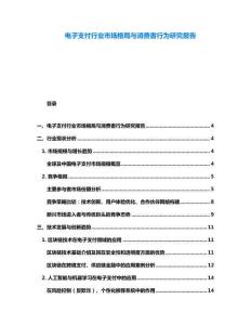 电子支付行业市场格局与消费者行为研究报告