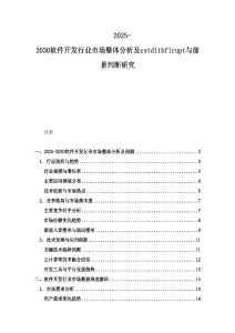 2025-2030软件开发行业市场整体分析及cstdlibflrupt与前景判断研究