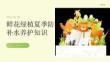 鲜花绿植夏季防晒补水养护知识