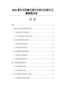 2026重大项目建设投资分析风险投资发展策略报告