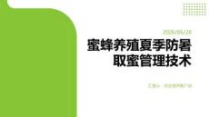 蜜蜂养殖夏季防暑取蜜管理技术