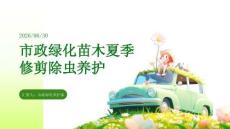 市政綠化苗木夏季修剪除蟲養護