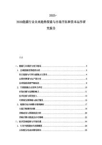 2025-2030能源行業未來趨勢探索與市場開拓和資本運作研究報告