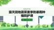 露天田地蔬菜夏季防暴雨種植防護課