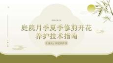 庭院月季花卉夏季修剪开花养护