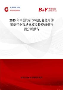 2025年中國與計算機配套使用的腕墊行業市場規模及投資前景預測分析報告