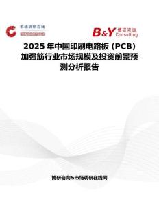 2025年中國印刷電路板 (PCB) 加強筋行業市場規模及投資前景預測分析報告