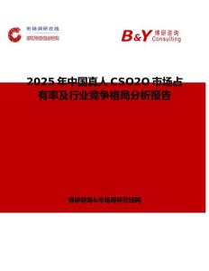 2025年中国真人CSO2O市场占有率及行业竞争格局分析报告