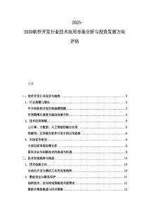 2025-2030软件开发行业技术应用市场分析与投资发展方向评估