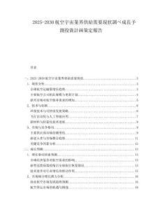 2025-2030航空宇宙業(yè)界供給需要現(xiàn)狀調(diào)べ成長予測投資計畫策定報告