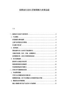 润滑油行业KOL营销策略与效果追踪