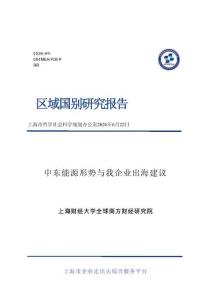 上海財經(jīng)大學：中東能源形勢與我企業(yè)出海建議