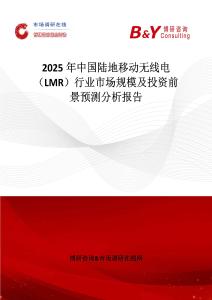 2025年中国陆地移动无线电（LMR）行业市场规模及投资前景预测分析报告