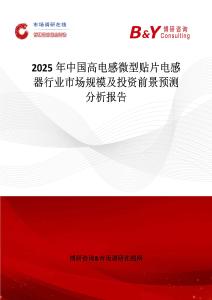 2025年中国高电感微型贴片电感器行业市场规模及投资前景预测分析报告