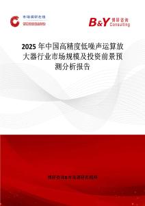 2025年中國高精度低噪聲運算放大器行業市場規模及投資前景預測分析報告