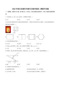 2026年湖北省襄阳市襄州区襄州联盟二模数学试卷（含答案）