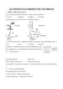 2026年湖南省长沙市市长郡集团部分学校中考化学模拟试卷（含答案）