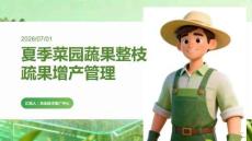 夏季菜园蔬果整枝疏果增产管理
