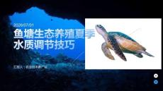 鱼塘生态养殖夏季水质调节技巧
