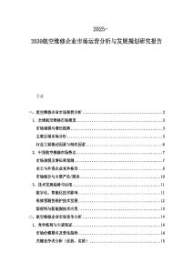 2025-2030航空維修企業(yè)市場運營分析與發(fā)展規(guī)劃研究報告