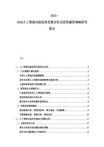 2025-2030人工智能風(fēng)險投資發(fā)展分析及投資融資策略研究報告
