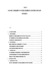 2025-2030荷兰新能源汽车车载无线模块行业供需分析竞争评估报告