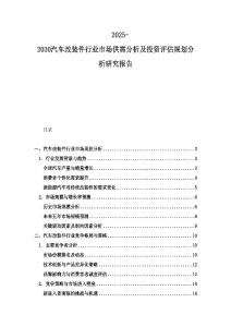 2025-2030汽车改装件行业市场供需分析及投资评估规划分析研究报告