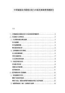 中國儲能技術路線比較與市場發展前景預測報告
