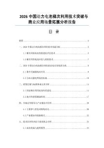2026中国动力电池梯次利用技术突破与商业应用场景拓展分析报告