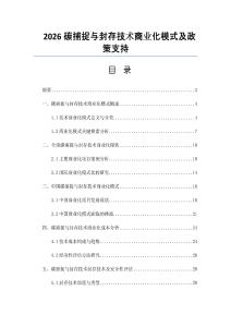 2026碳捕捉與封存技術(shù)商業(yè)化模式及政策支持